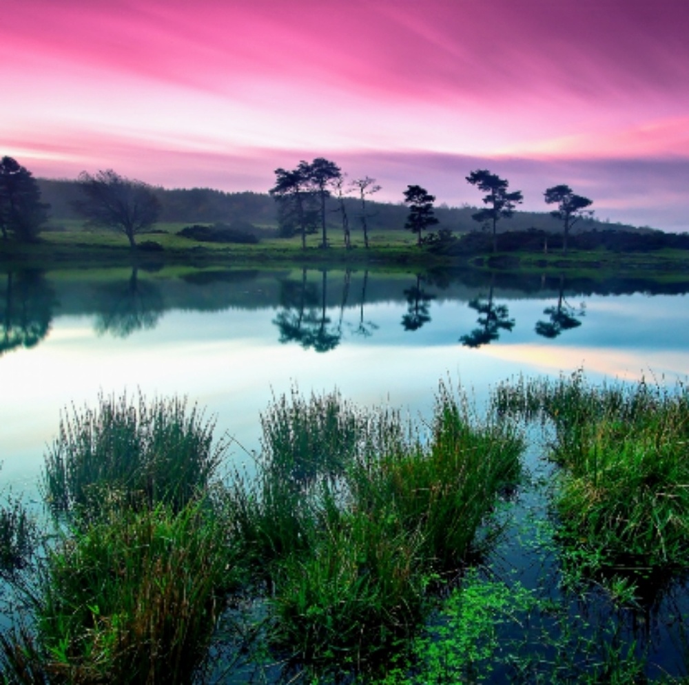 Meet your Posher, Missy